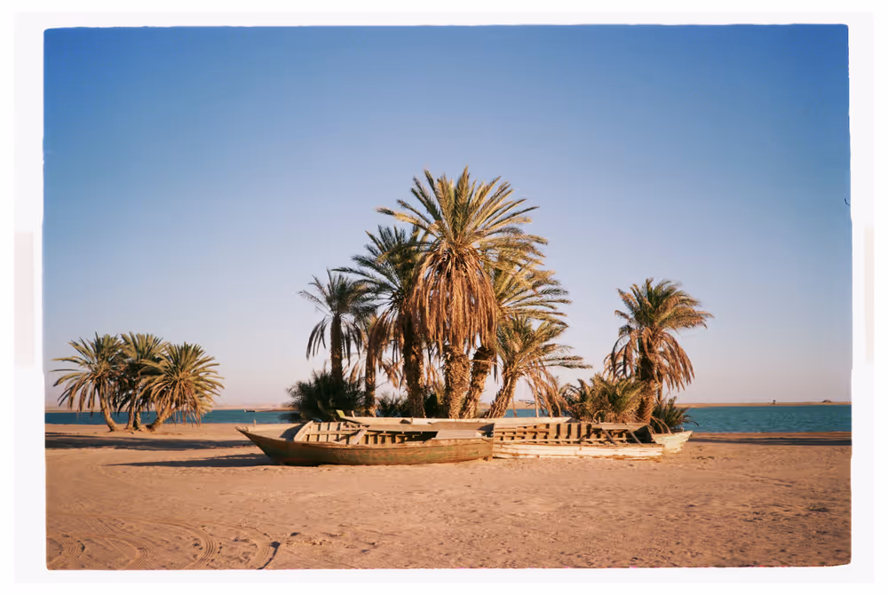 Al Aseela & Gayal - 00.3_GA-00.jpg