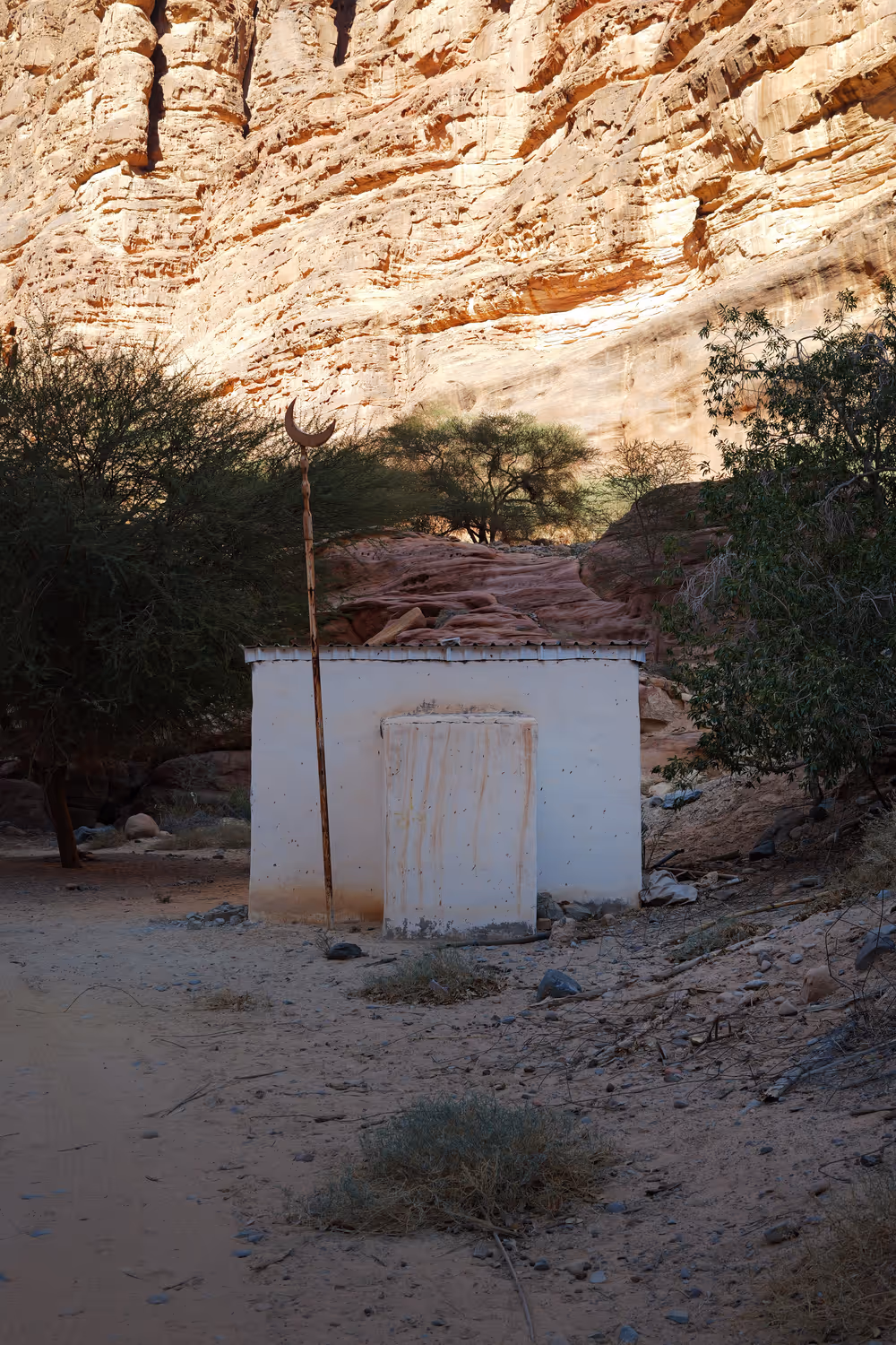 Al Disah - 08.2_AD-08.jpg
