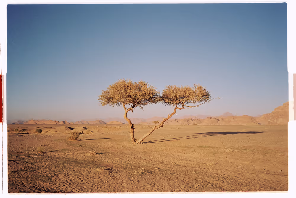 Al Mafraq - 00.2_AM-00.jpg