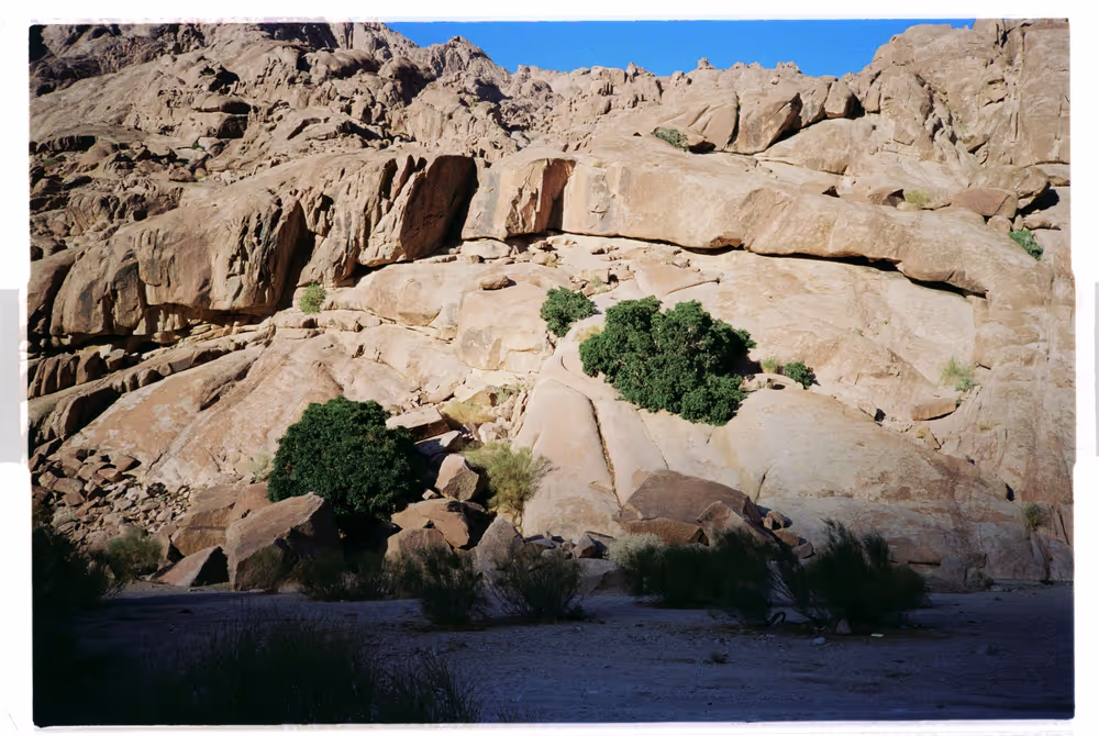Al Sharaf - 00.2_AS-00.jpg
