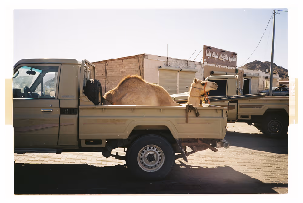 Shuwaq - 00.1_SH_00.jpg
